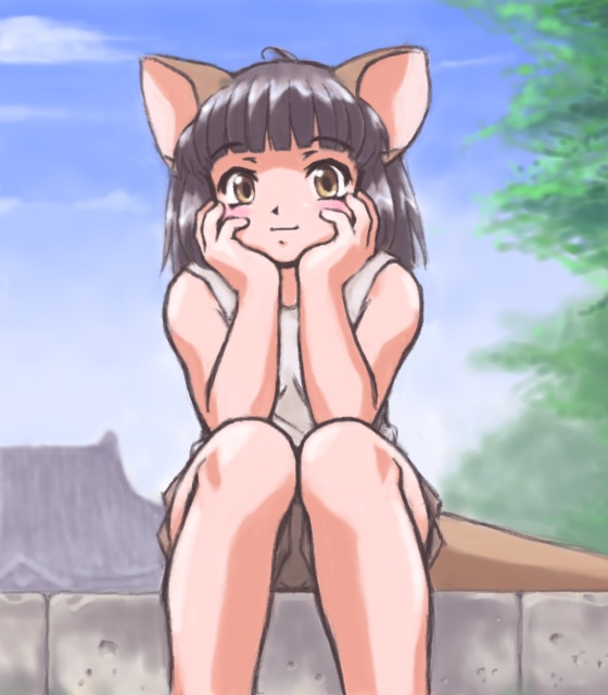 񂩂璸܂B